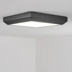 Plafonnier Exterieuralkmaar Led Anthracite, 1 Lumiere