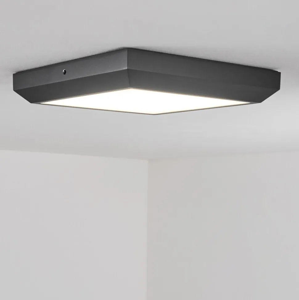 Plafonnier Exterieuralkmaar Led Anthracite, 1 Lumiere