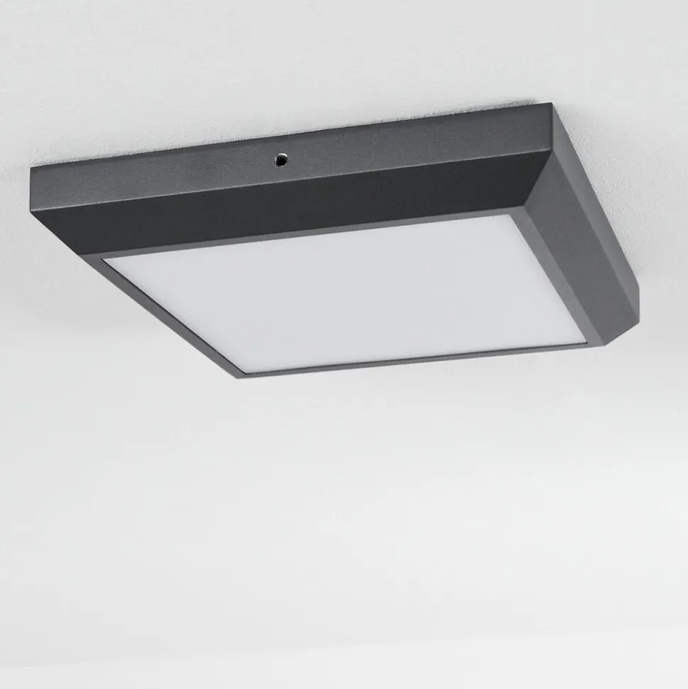 Plafonnier Exterieuralkmaar Led Anthracite, 1 Lumiere