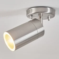 Plafonnier Exterieurbessiebelle Acier Inoxydable, Blanc, 1 Lumiere