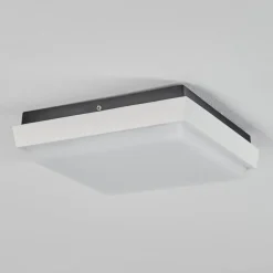 Plafonnier Exterieurgomero Led Anthracite, Blanc, 1 Lumiere