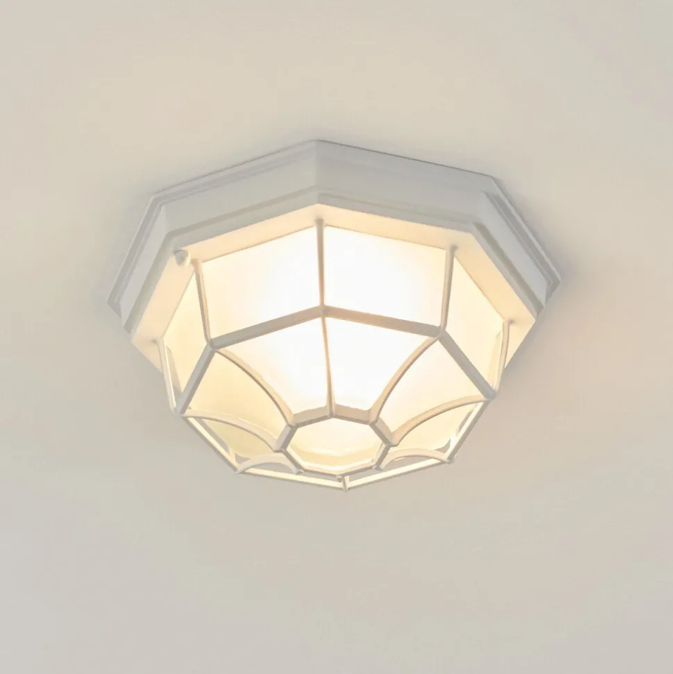 Plafonnier Exterieuribacache Blanc, 1 Lumiere