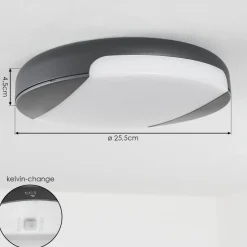 Plafonnier Exterieurjoserand Led Anthracite, 1 Lumiere
