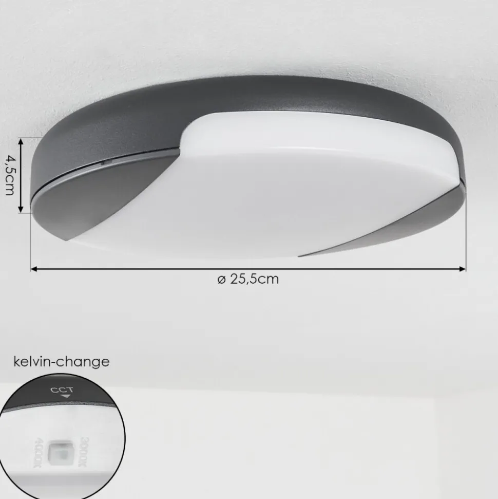 Plafonnier Exterieurjoserand Led Anthracite, 1 Lumiere