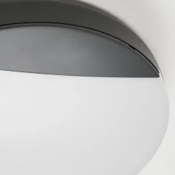 Plafonnier Exterieurjoserand Led Anthracite, 1 Lumiere