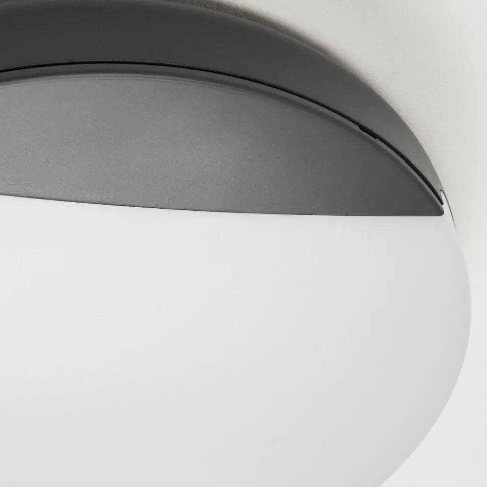 Plafonnier Exterieurjoserand Led Anthracite, 1 Lumiere