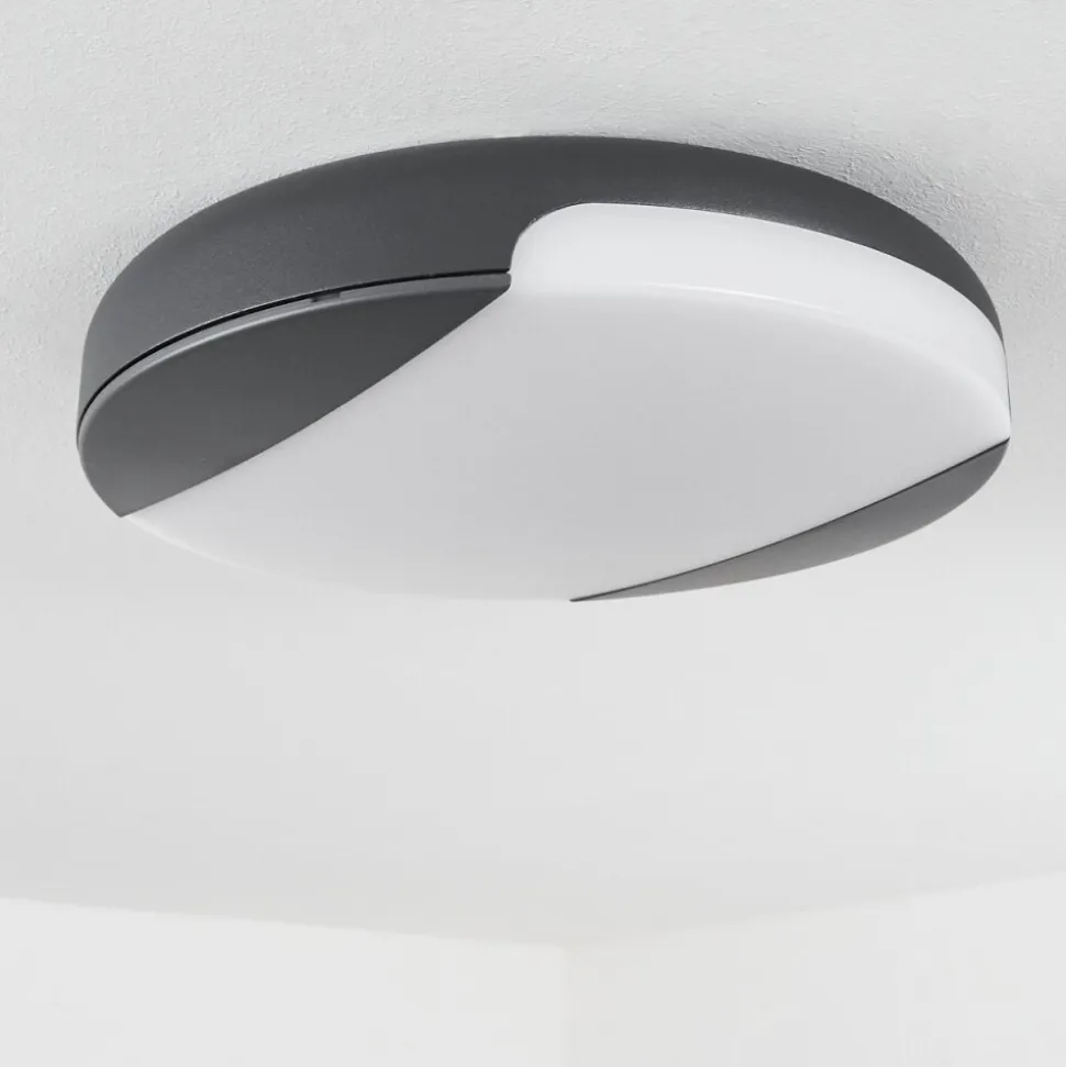 Plafonnier Exterieurjoserand Led Anthracite, 1 Lumiere