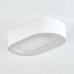 Plafonnier Exterieurpaleroo Led Blanc, 1 Lumiere