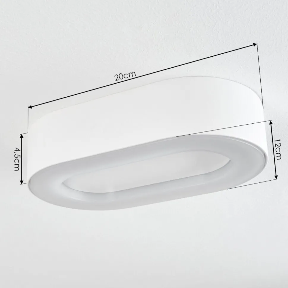 Plafonnier Exterieurpaleroo Led Blanc, 1 Lumiere