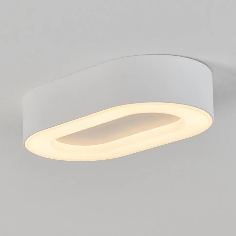 Plafonnier Exterieurpaleroo Led Blanc, 1 Lumiere
