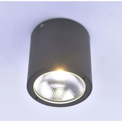 Plafonnier Paul Neuhaus Georg Led Anthracite, 1 Lumiere