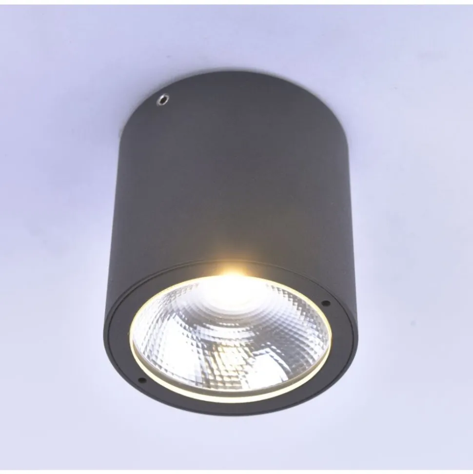 Plafonnier Paul Neuhaus Georg Led Anthracite, 1 Lumiere