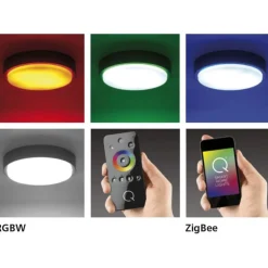 Plafonnier Paul Neuhaus Q-Lenny Led Anthracite, 1 Lumiere, Telecommandes, Changeur De Couleurs