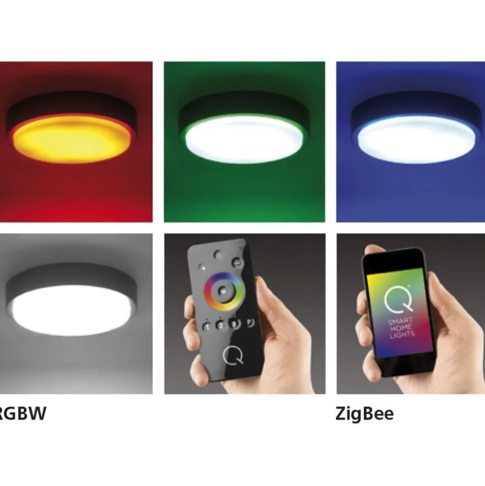 Plafonnier Paul Neuhaus Q-Lenny Led Anthracite, 1 Lumiere, Telecommandes, Changeur De Couleurs