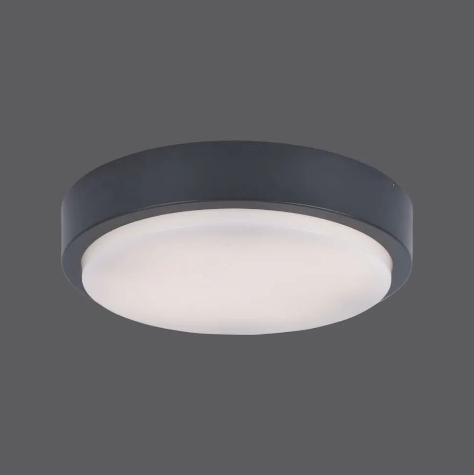 Plafonnier Paul Neuhaus Q-Lenny Led Anthracite, 1 Lumiere, Telecommandes, Changeur De Couleurs