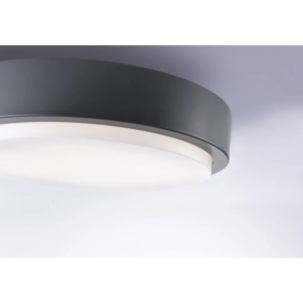 Plafonnier Paul Neuhaus Q-Lenny Led Anthracite, 1 Lumiere, Telecommandes, Changeur De Couleurs