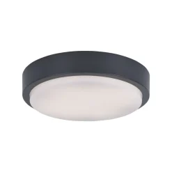 Plafonnier Paul Neuhaus Q-Lenny Led Anthracite, 1 Lumiere, Telecommandes, Changeur De Couleurs