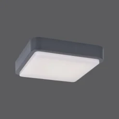 Plafonnier Paul Neuhaus Q-Lenny Led Anthracite, 1 Lumiere, Telecommandes, Changeur De Couleurs