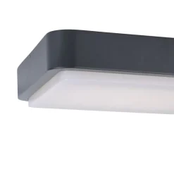 Plafonnier Paul Neuhaus Q-Lenny Led Anthracite, 1 Lumiere, Telecommandes, Changeur De Couleurs