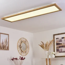 Plafonnier Raimea Led Blanc, 1 Lumiere