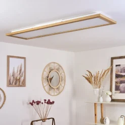 Plafonnier Raimea Led Blanc, 1 Lumiere