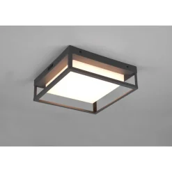Plafonnier Trio Witham Led Anthracite, 1 Lumiere
