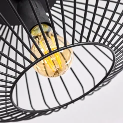 Plafonnier Wemude Noir, 1 Lumiere