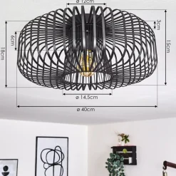 Plafonnier Wemude Noir, 1 Lumiere