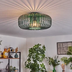 Plafonnier Wemude Vert, 1 Lumiere