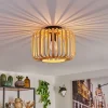 Plafonnieroravi Bois Clair, 1 Lumiere