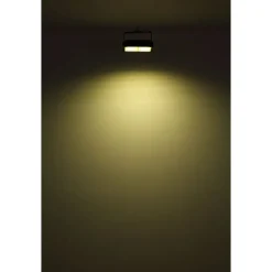 Spot De Jardin Globo Solar Led Noir, 1 Lumiere