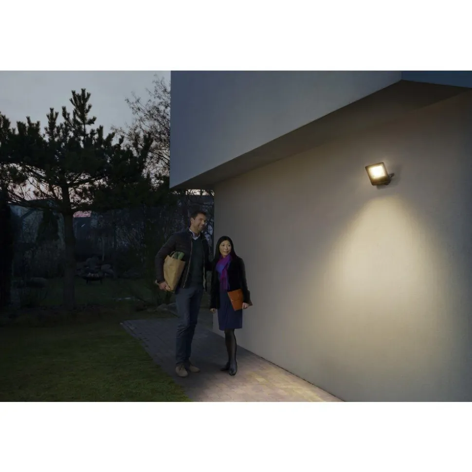 Spot De Jardin Ledvance Smart+ Gris, 1 Lumiere