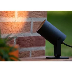 Spot De Jardin Lucide Taylor Noir, 1 Lumiere, Detecteur De Mouvement