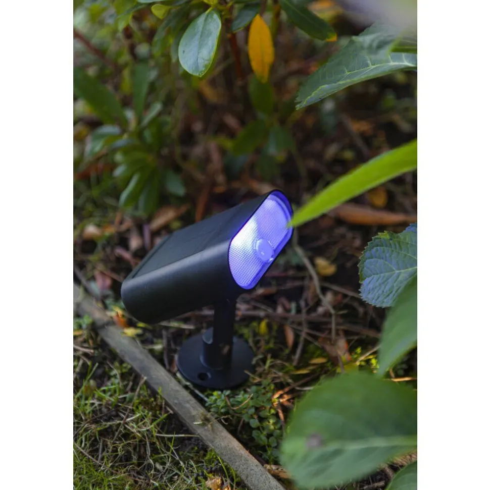 Spot De Jardin Lutec Ginbo Led Noir, 1 Lumiere, Detecteur De Mouvement, Changeur De Couleurs