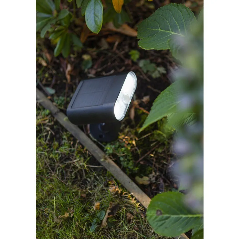 Spot De Jardin Lutec Ginbo Led Noir, 1 Lumiere, Detecteur De Mouvement, Changeur De Couleurs