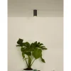 Spot De Plafond Lucide Delto Led Gris, 1 Lumiere