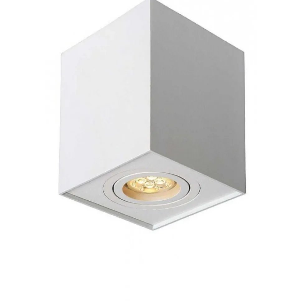 Spot Lucide Tube Blanc, 1 Lumiere