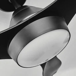 Ventilateur De Plafond Follseland Led Noir, 1 Lumiere, Telecommandes